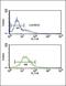 Granzyme M antibody, GTX81716, GeneTex, Flow Cytometry image 