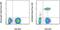 Biotin antibody, 53-9895-82, Invitrogen Antibodies, Flow Cytometry image 