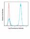 CD3d Molecule antibody, FC04405-4-APC, Boster Biological Technology, Flow Cytometry image 