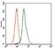 E2F-1 antibody, GTX60615, GeneTex, Flow Cytometry image 