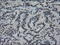 Interleukin 3 antibody, M02435-1, Boster Biological Technology, Immunohistochemistry paraffin image 