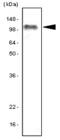 CD287 antibody, MCA2702GA, Bio-Rad (formerly AbD Serotec) , Enzyme Linked Immunosorbent Assay image 