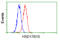 Hydroxysteroid 17-Beta Dehydrogenase 10 antibody, GTX84346, GeneTex, Flow Cytometry image 