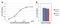 Ferritin Light Chain antibody, GTX15742, GeneTex, Enzyme Linked Immunosorbent Assay image 