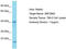 Zinc Finger Protein 286A antibody, TA330892, Origene, Western Blot image 