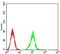 Autophagy Related 2A antibody, NBP2-61690, Novus Biologicals, Flow Cytometry image 