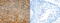 TBC1 Domain Family Member 21 antibody, TA351792, Origene, Immunohistochemistry frozen image 