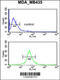 Gamma-Aminobutyric Acid Type A Receptor Delta Subunit antibody, 63-881, ProSci, Flow Cytometry image 