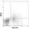 c-Kit antibody, 105809, BioLegend, Flow Cytometry image 