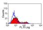 Lymphocyte antigen 75 antibody, MCA2450GA, Bio-Rad (formerly AbD Serotec) , Immunohistochemistry frozen image 