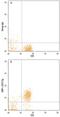 Signal Regulatory Protein Gamma antibody, PA5-47627, Invitrogen Antibodies, Flow Cytometry image 