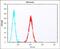 ES Cell Expressed Ras antibody, PA5-49408, Invitrogen Antibodies, Flow Cytometry image 