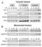 Endonuclease G antibody, 3035, ProSci, Western Blot image 