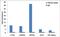 H2A Histone Family Member X antibody, 701953, Invitrogen Antibodies, Chromatin Immunoprecipitation image 