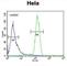 Transmembrane Protein 173 antibody, abx034495, Abbexa, Western Blot image 