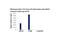 RNA Polymerase II Subunit A antibody, 26319S, Cell Signaling Technology, Chromatin Immunoprecipitation image 