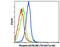 Mitogen-Activated Protein Kinase 8 antibody, MA5-15228, Invitrogen Antibodies, Flow Cytometry image 