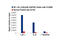 Nuclear Factor Kappa B Subunit 1 antibody, 13586S, Cell Signaling Technology, Chromatin Immunoprecipitation image 