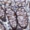 Mitochondrial Trans-2-Enoyl-CoA Reductase antibody, NBP1-85658, Novus Biologicals, Immunohistochemistry paraffin image 