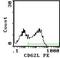 Selectin L antibody, MA1-70037, Invitrogen Antibodies, Flow Cytometry image 