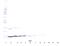Interferon Gamma antibody, XP-5157, ProSci, Western Blot image 
