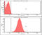 Heat Shock Protein Family B (Small) Member 1 antibody, GTX57550, GeneTex, Flow Cytometry image 