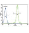 Lipoprotein Lipase antibody, abx027852, Abbexa, Flow Cytometry image 