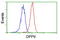 Dipeptidyl Peptidase 9 antibody, LS-B11154, Lifespan Biosciences, Flow Cytometry image 