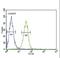 Cartilage Oligomeric Matrix Protein antibody, LS-C166937, Lifespan Biosciences, Flow Cytometry image 