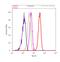 RAN Binding Protein 3 antibody, 700076, Invitrogen Antibodies, Flow Cytometry image 