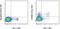 Eomesodermin antibody, 48-4875-82, Invitrogen Antibodies, Flow Cytometry image 