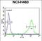 Aldehyde Dehydrogenase 1 Family Member A1 antibody, PA5-35152, Invitrogen Antibodies, Flow Cytometry image 