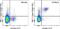 Ly55c antibody, 63-5941-80, Invitrogen Antibodies, Flow Cytometry image 