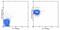 CD47 Molecule antibody, 14-0471-82, Invitrogen Antibodies, Flow Cytometry image 