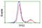 p53 antibody, LS-C172943, Lifespan Biosciences, Flow Cytometry image 