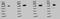 Dynein Cytoplasmic 1 Intermediate Chain 1 antibody, NB300-726, Novus Biologicals, Western Blot image 