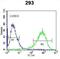 Inositol-Trisphosphate 3-Kinase B antibody, abx033925, Abbexa, Flow Cytometry image 