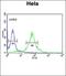 Minichromosome Maintenance Complex Component 5 antibody, orb214237, Biorbyt, Flow Cytometry image 