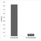 SMAD Family Member 3 antibody, LS-C291638, Lifespan Biosciences, Enzyme Linked Immunosorbent Assay image 