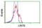 Lin-7 Homolog B, Crumbs Cell Polarity Complex Component antibody, LS-C115455, Lifespan Biosciences, Flow Cytometry image 