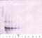 Fibroblast Growth Factor 17 antibody, XP-5134, ProSci, Western Blot image 