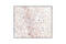 Synuclein Alpha antibody, 2647S, Cell Signaling Technology, Immunohistochemistry paraffin image 