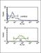 Sprouty RTK Signaling Antagonist 4 antibody, PA5-26959, Invitrogen Antibodies, Flow Cytometry image 