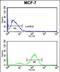 Junction Plakoglobin antibody, PA5-35375, Invitrogen Antibodies, Flow Cytometry image 