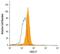 C-X-C Motif Chemokine Ligand 17 antibody, MA5-24157, Invitrogen Antibodies, Flow Cytometry image 