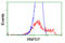 Arginyl Aminopeptidase antibody, TA503948, Origene, Flow Cytometry image 