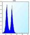 Eukaryotic Translation Initiation Factor 4E antibody, orb213885, Biorbyt, Flow Cytometry image 