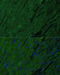 Troponin I3, Cardiac Type antibody, 22-617, ProSci, Immunofluorescence image 