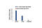 Spi-1 Proto-Oncogene antibody, 2258S, Cell Signaling Technology, Chromatin Immunoprecipitation image 