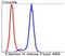 FLNA antibody, NBP2-67304, Novus Biologicals, Flow Cytometry image 